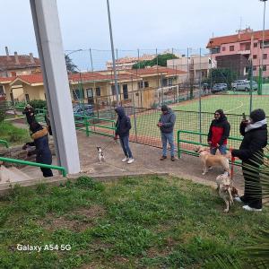 25benedizione_pet07.jpg