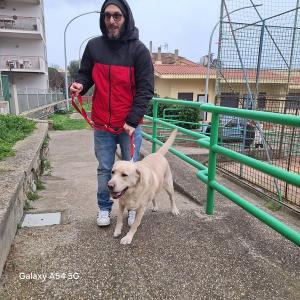 25benedizione_pet09.jpg