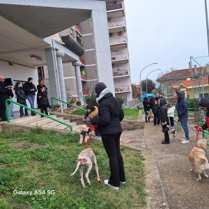 25benedizione_pet15.jpg