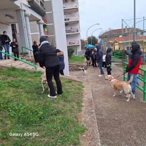 25benedizione_pet16.jpg