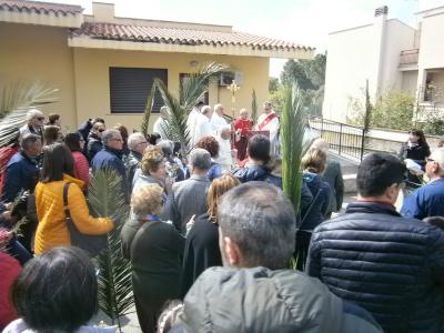 19palme043.jpg
