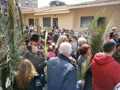 19palme044.jpg